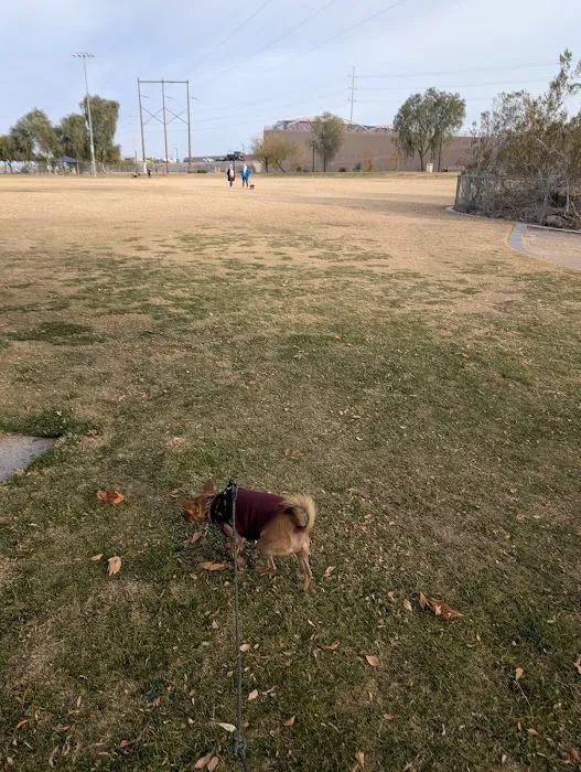 Cactus Wren Park 9