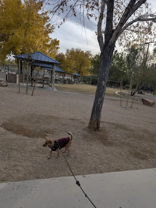 Cactus Wren Park 8