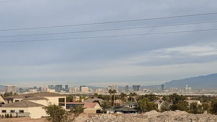 Cactus Wren Park 5