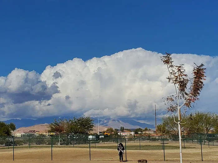 Mountains Edge Dog Park 9
