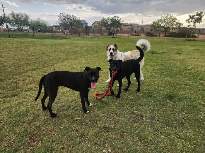 Mountains Edge Dog Park 7