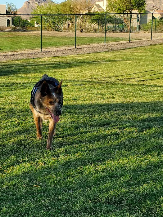 Mountains Edge Dog Park 8