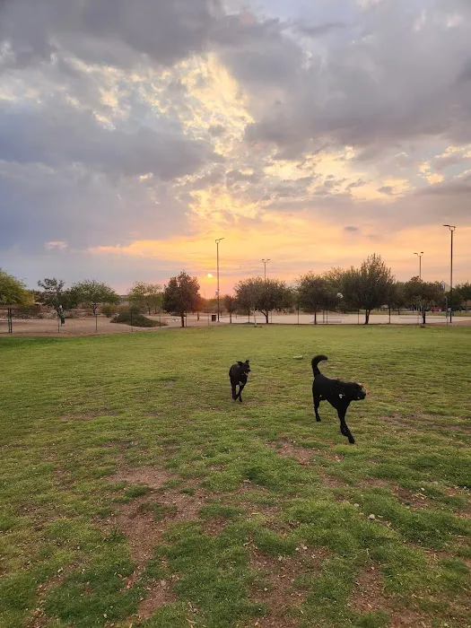 Mountains Edge Dog Park 6
