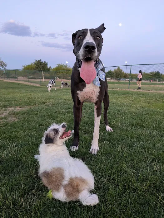 Mountains Edge Dog Park 3