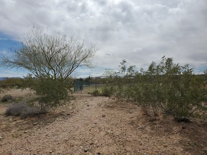 Mountains Edge Dog Park 1
