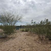 Mountains Edge Dog Park ico