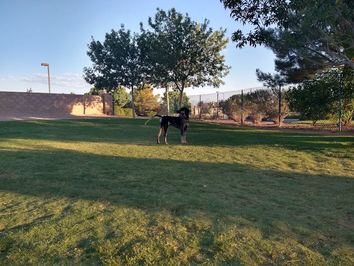 Fire Station Dog Park 5