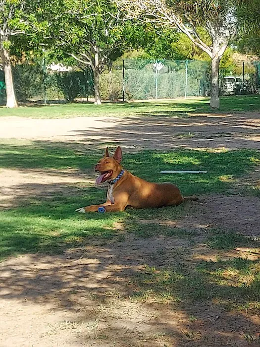 Fire Station Dog Park 4