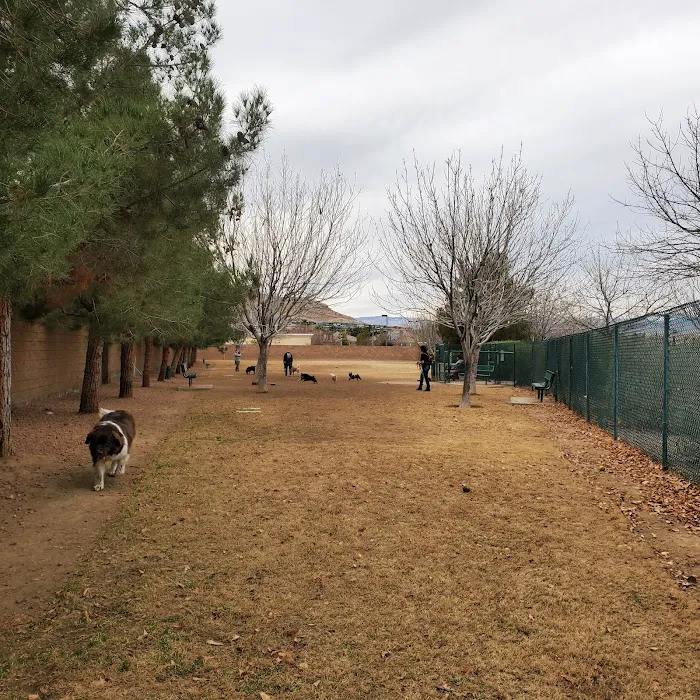 Fire Station Dog Park 8
