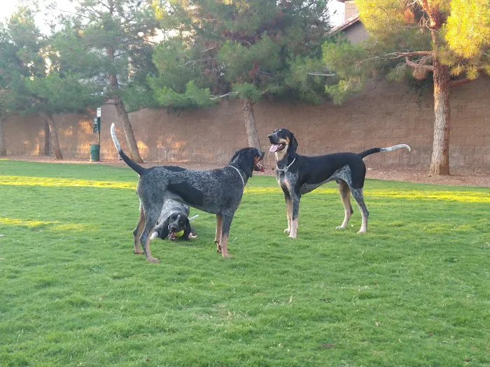 Fire Station Dog Park 9