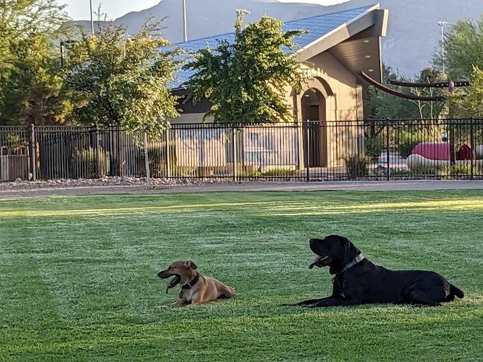 Bark Park at Heritage Park 5