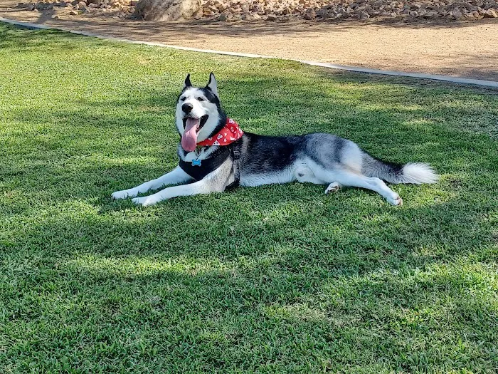 Bark Park at Heritage Park 9