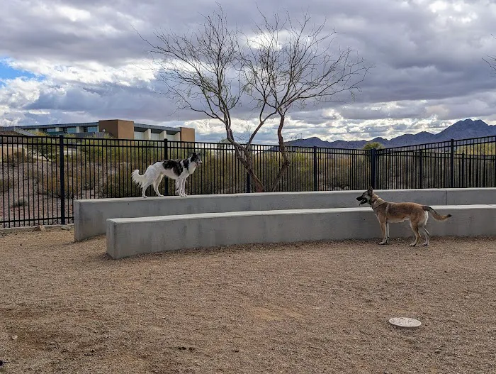 Bark Park at Heritage Park 7