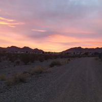Equestrian Dog Park ico