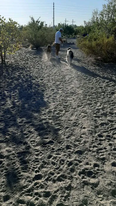See Spot Run 3