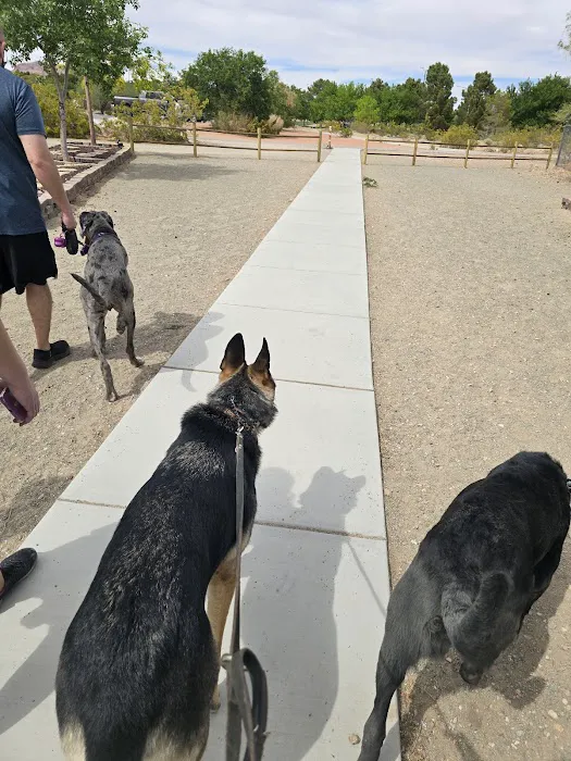 See Spot Run 10