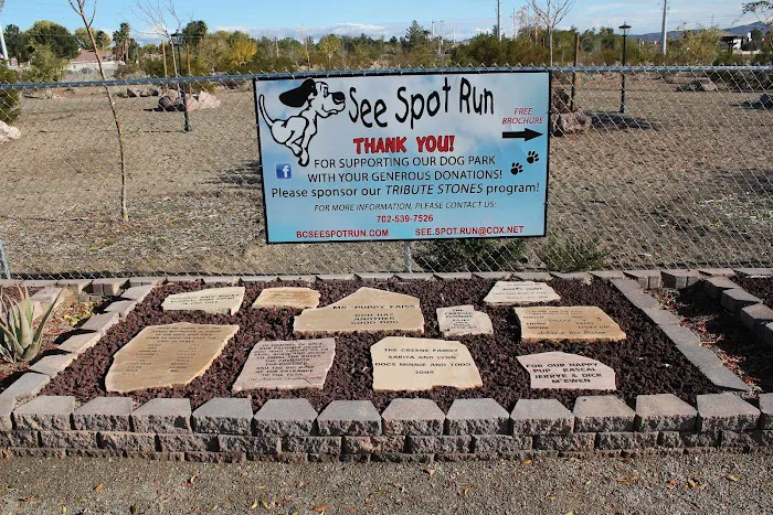 See Spot Run 9
