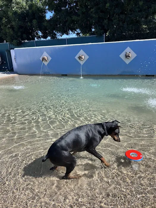 Dr. James W. Thornton Dog Park 3