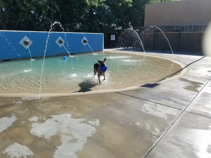 Dr. James W. Thornton Dog Park 5