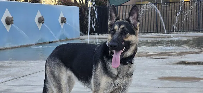 Dr. James W. Thornton Dog Park 1