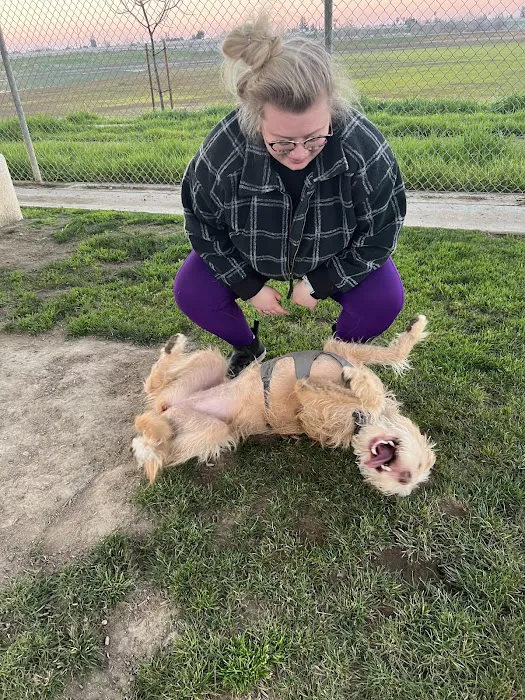 Dr. James W. Thornton Dog Park 10