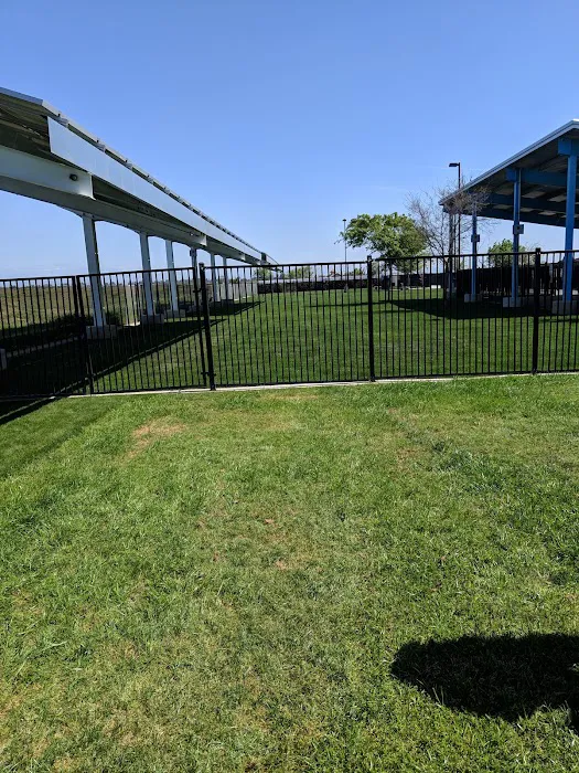 Dr. James W. Thornton Dog Park 2