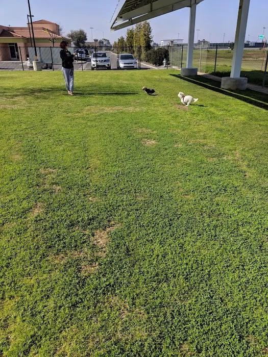 Dr. James W. Thornton Dog Park 4