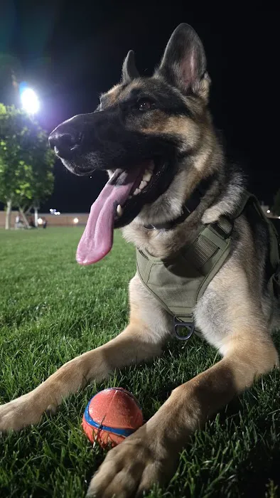 Dr. James W. Thornton Dog Park 9