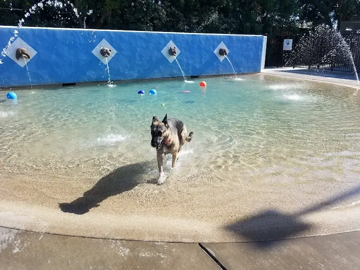 Dr. James W. Thornton Dog Park 6