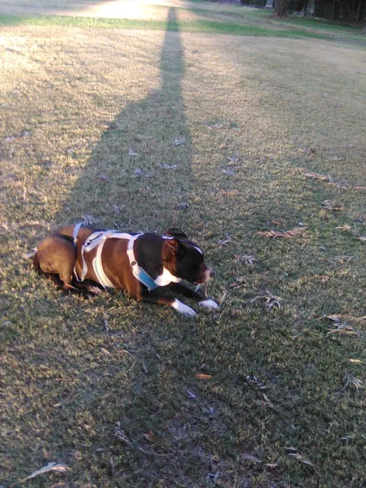 First & Bullard (O) Dog Park 7