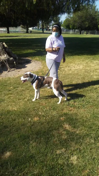 First & Bullard (O) Dog Park 2