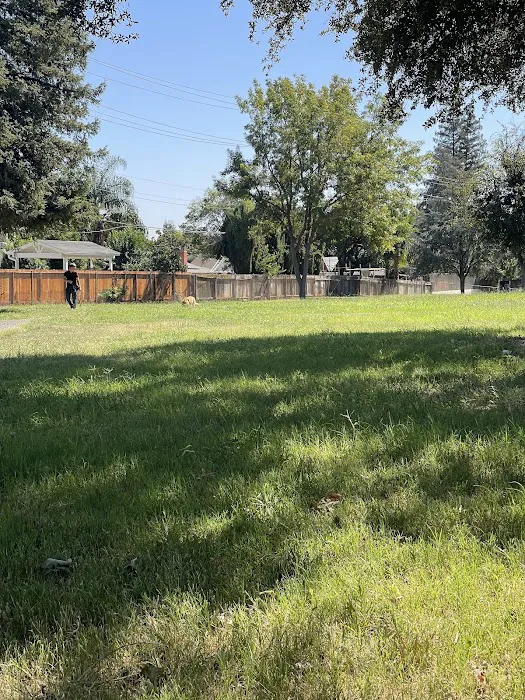 First & Bullard (O) Dog Park 3