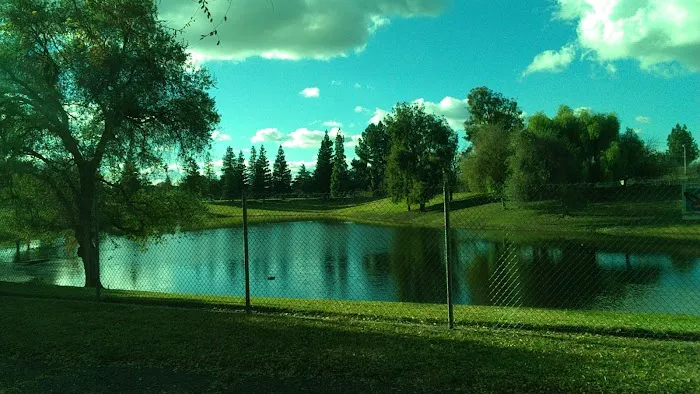 First & Bullard (O) Dog Park 4