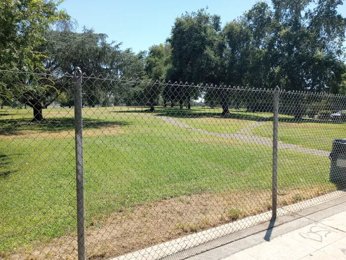 First & Bullard (O) Dog Park 6