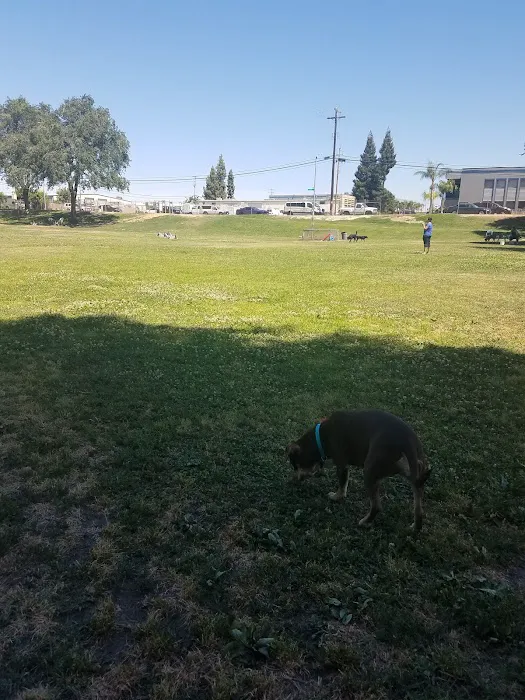Basin AH1 Dog Park 5