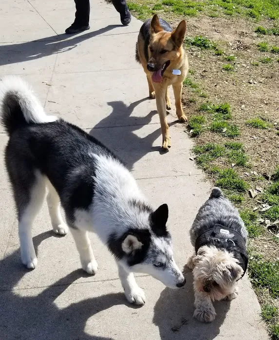 Basin AH1 Dog Park 10