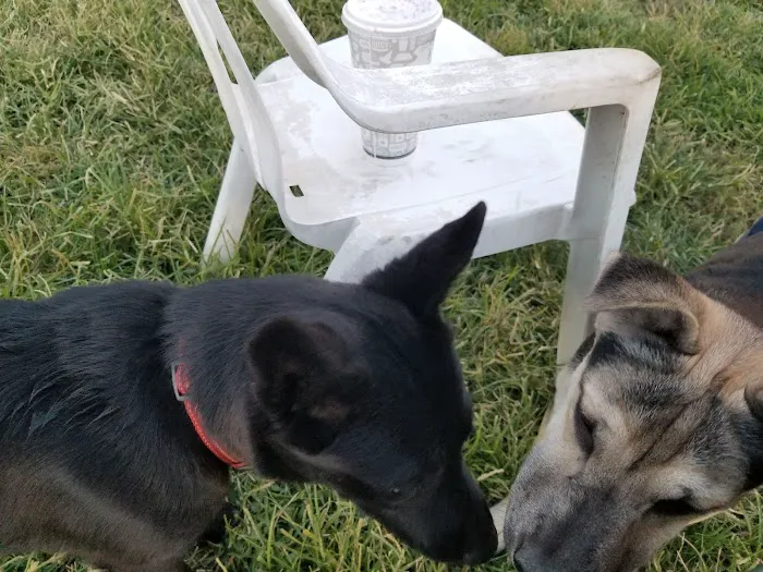Basin AH1 Dog Park 7