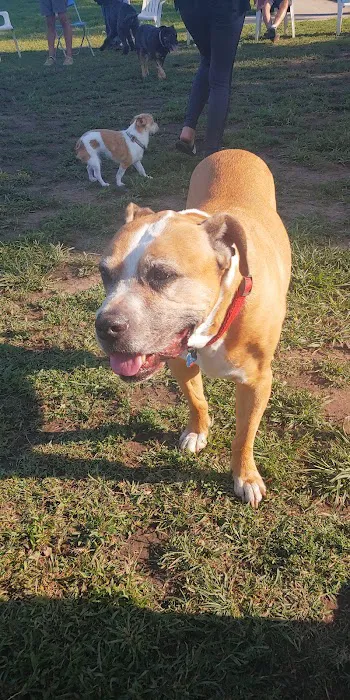 Basin AH1 Dog Park 3
