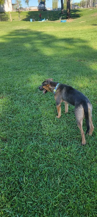 Basin AH1 Dog Park 6