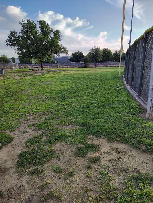 Figarden Dog Park 1