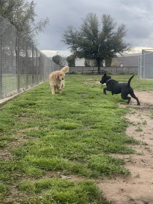 Figarden Dog Park 6