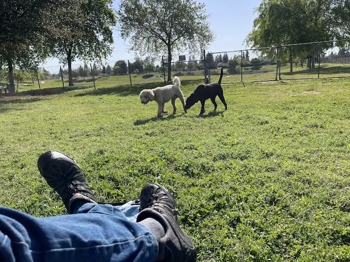 Figarden Dog Park 9
