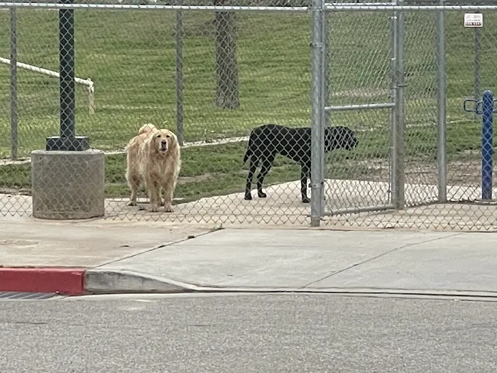 Figarden Dog Park 5