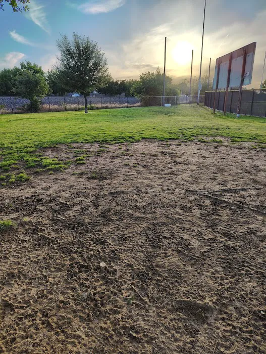 Figarden Dog Park 4