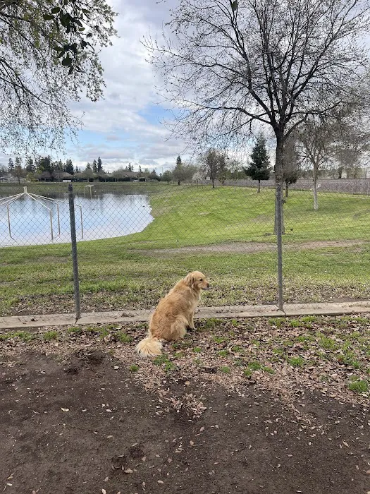 Figarden Dog Park 10