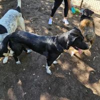 Bob Belcher Park ico