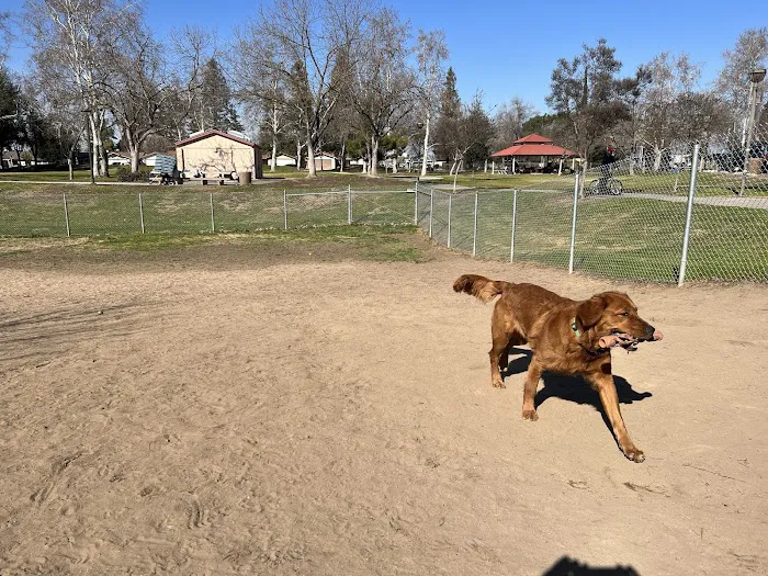 Sierra Bicentennial Dog Park 10