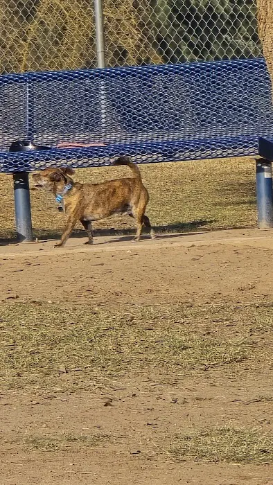 Woodward Dog Park 1