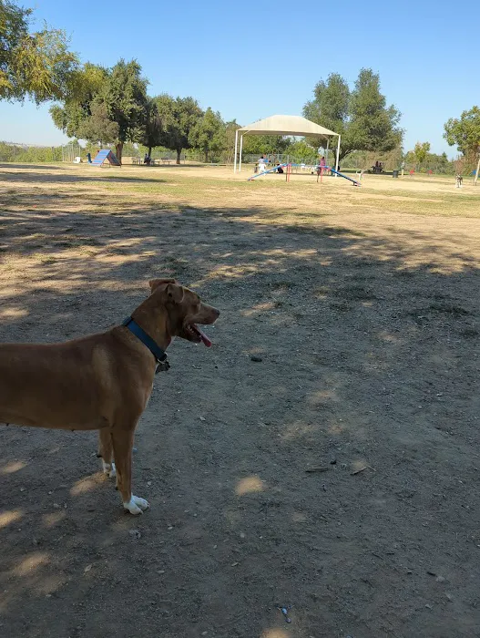 Woodward Dog Park 3