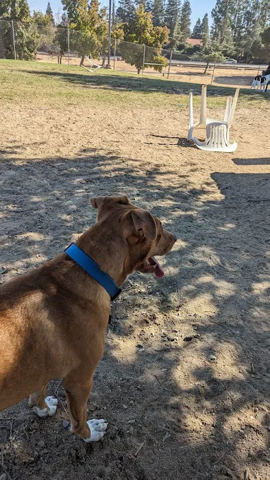 Woodward Dog Park 5